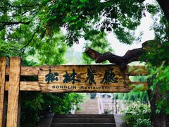 -香山公园