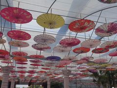 -广东花都香草世界旅游度假区