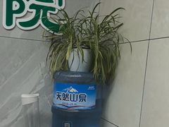 -半岛宠物医院24小时(白果林店)