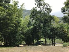 -广州市石门国家森林公园