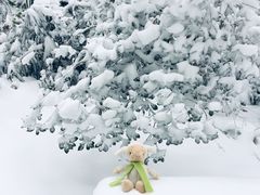 -九曜山