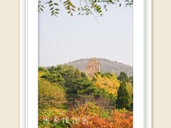 -国家植物园
