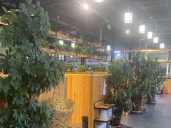 -桃源村铁锅炖鱼(体育馆道店)