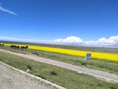 -青海湖国家重点风景名胜区