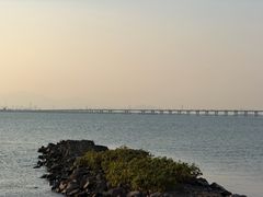 -芒洲湿地公园