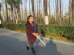 -合肥滨湖国家森林公园