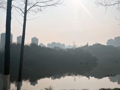 -重庆彩云湖湿地公园