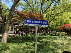 -瑶琳仙境