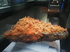 -湖南省地质博物馆