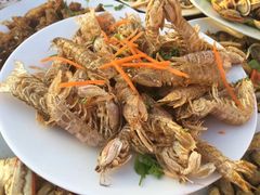 -明珠湖天鹅苑·农家菜馆