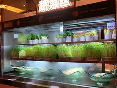 -串一火锅(赛格国际购物中心店)