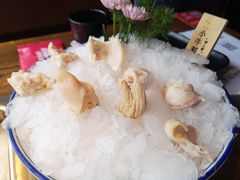 -九鼎轩脆毛肚火锅(三钢里店)