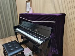 -珠江钢琴艺术中心(文一路店)