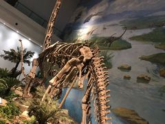 -自贡恐龙博物馆