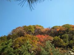 -少华山国家森林公园