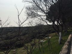 -南京市江宁方山