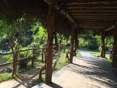 -灵光寺