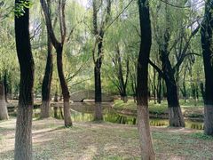 -长白岛森林公园