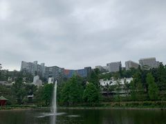 -大埔公路-马料水段香港中文大学(公交站)