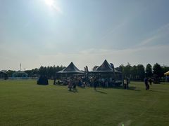 -春花秋色城市公园