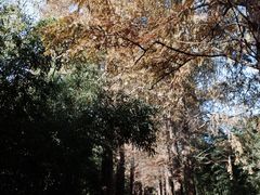 -同里国家湿地公园