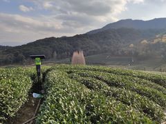 -听风阁农家私房菜茶楼(龙坞店)