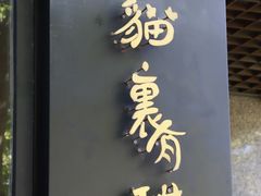 -猫里有甜