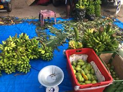 -尼甘布海鲜市场