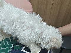 -瑞派宠物医院·24h·骨外科·皮肤科·全科宠物医疗转诊中心(沈阳浑南院)