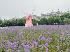 -九龙湖公园
