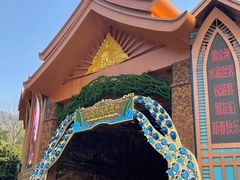 -西双版纳原始森林公园