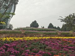 -石家庄市植物园