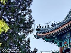 -颐和园