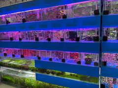 -三旗百汇商品城