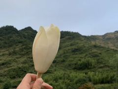 -石台牯牛降景区