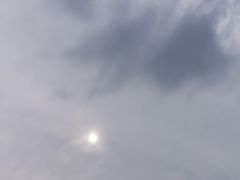 -飞来湖湿地公园