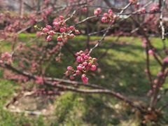 -大福来(光荣道店)