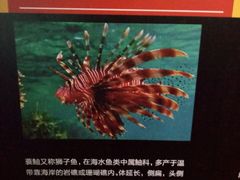 -常州海昌海洋探索馆