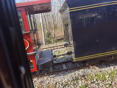 -合肥滨湖国家森林公园