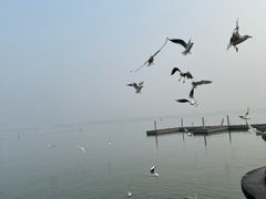 -蠡湖大桥公园