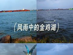 -金鸡湖景区