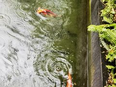 -太子园林酒家
