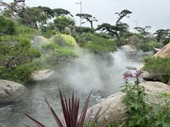 -罗红摄影艺术馆