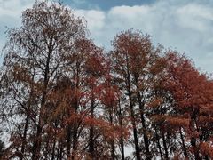-四海公园(南山区)