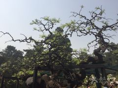 -永定河休闲森林公园