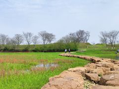 -盘龙城国家考古遗址公园