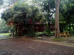 android_upload_pic-南宁良凤江国家森林公园