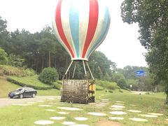 -铁山坪森林公园