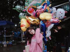 -桂林市花鸟市场