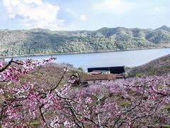 -河口景区